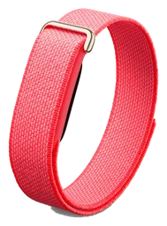 Google Fitbit Air Berry